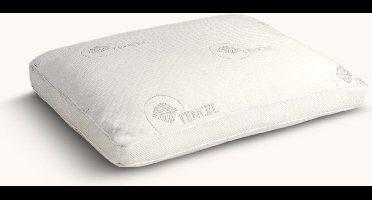 Doctor Fit Boxkussen - Tencel - 60x70x5 cm