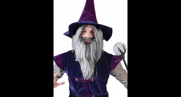 Pruik en baard tovenaar Halloween grijs