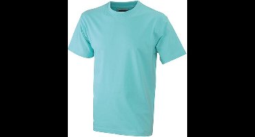 James and Nicholson Unisex Zware Ronde Tee (Muntgroen)