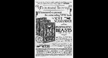 Fantastic Beasts 2 Flourish & Blotts Poster 61x91.5cm