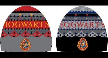 Harry Potter Hogwarts Assorted Hat