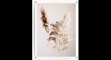 Tuinposter Pampasgras - 80 x 60 - Canvas - REINDERS