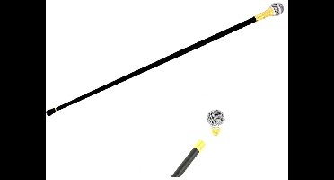Wandelstok Microfoon