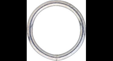 Gelaste Ring 360 4Mm Binnenm 30Mm Verz