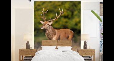 Behang - Fotobehang Dieren - Hert - Gewei - Bosdieren - Natuur - Breedte 160 cm x hoogte 220 cm