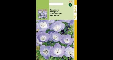 Hortitops Nemophila Bloemzaad - Hemelsblauw