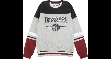 Harry Potter Kids - Hogwarts - England Made Unisex Sweatshirt - meerkleurig - 176