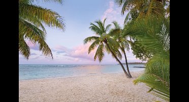 Komar Fotobehang Paradise Morning