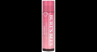 Burts Bees Lipbalm Hibiscus -