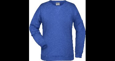 James and Nicholson Dames/dames Raglan Sweatshirt met lange mouwen (Koninklijke Heide)
