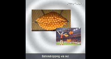 ballonnen-dropping-via-net 1000 stuks.