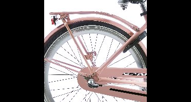 Alpina Achterdrager 26 Clubb desert pink matt