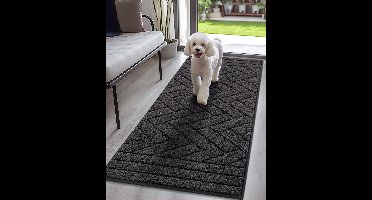 Boraboi® Wasbare Antislip Deurmat voor Binnen en Buiten, 60 x 150 cm, Waterabsorberende Vuilvangmat voor Entree en Hal