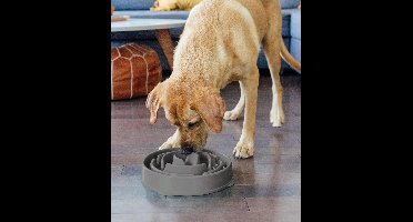 Outward Hound Fun Feeder - Anti Schrok Hondenvoerbak - 6 kleuren en 3 maten - door Dierenartsen aanbevolen Slow Bowl - Large/Regular - Grijs