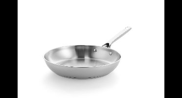 BK Sparkling Uncoated Koekenpan 28cm - Zonder antikleeflaag - Koekenpan inductie - RVS Koekenpan - Ovenbestendig tot 230°C – RVS handgreep – Zilver