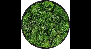 ECD Germany Mosschilderij geconserveerd bolmos rond Ø 40 cm interieur wanddecoratie van natuurlijk 3D mos en houten frame, onderhoudsvrij, decoratieve kunst voor huis en kantoor