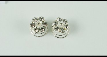 Curlies bloem rozet met divers strass