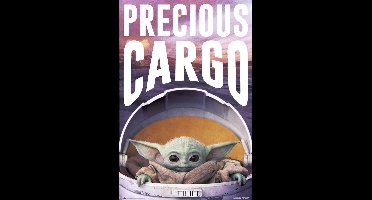 Poster Star Wars The Mandalorian Precious Cargo 61x91,5cm