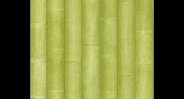 Bamboe Behang Groen as creation 96184-3