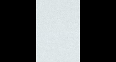 Dutch Wallcoverings Vliesbehang Uni - Grijs