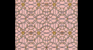 KLASSIEK MODERN BEHANG - Grijs Roze Goud Zilver - AS Creation Versace 4