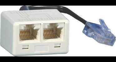 BTR NETCOM 130607440101-E tussenstuk voor kabels RJ-45 2x RJ-45 Wit