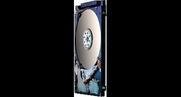 HGST interne harde schijf hdd Z5K500 500GB