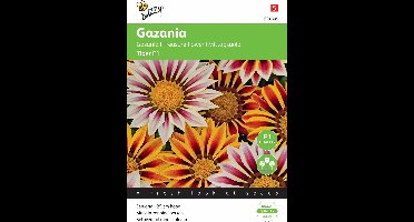 Buzzy® Gazania splendens Tiger Mixed
