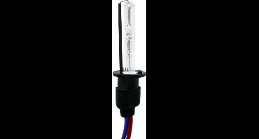 Xenon H1 Lamp 8000K