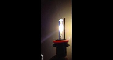 Blanco HID-Xenon lamp H7 4300K, 1 stuk