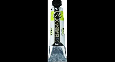 Rembrandt Acrylic Verf Serie 2 Yellowish Green (617)