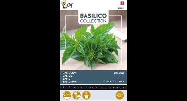Buzzy - Basilicum kleinbladige