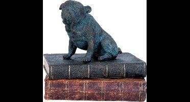 Decoratie hond - Buldog - op boeken - 18 x 14 x 17 cm