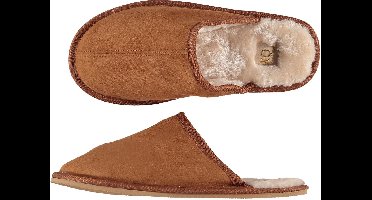 Apollo Heren Sloffen - Bruin - Maat 43/44