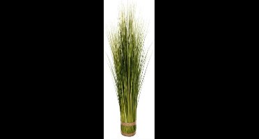 Bundel van gras dia.12xh100, groen