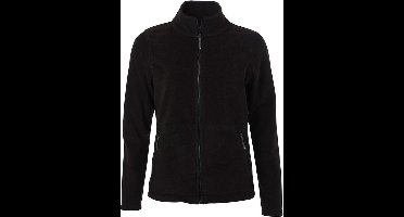 James and Nicholson Dames/dames Fleece Jasje (Zwart)