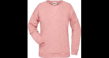 James and Nicholson Dames/dames Raglan Sweatshirt met lange mouwen (Rose Melange)
