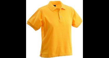 James and Nicholson Vrouwen/dames Klassieke Polo (Goudgeel)