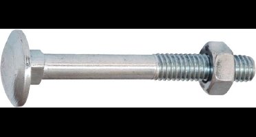 Slotbout met moer. M5 x 40mm. lang. verzinkt 12 stuks Houtbout. Homefix.