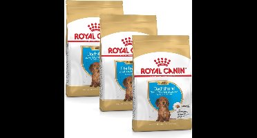 Royal Canin Dachshund - Puppy-Hondenvoer - 3 x 1.5 kg