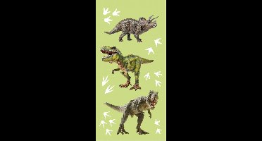 Dino Strandlaken - 70 x 140 cm