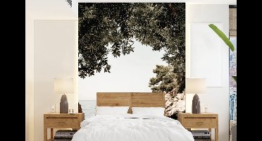 Behang - Fotobehang Rotsen - Zee - Boom - Groen - Breedte 160 cm x hoogte 220 cm