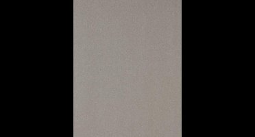 Dutch Wallcoverings Vlakvinylbehang - Uni - Beige