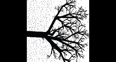 We The Wintering Tree