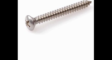 Hoenderdaal zelftappende plaatschroeven RVS A2 PH-2 lenskop 4,8 x 32 mm 200 stuks