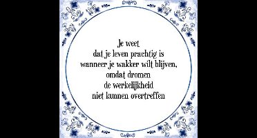 Tegeltje met Spreuk (Tegeltjeswijsheid): Je weet dat je leven prachtig is wanneer je wakker wilt blijven, omdat dromen de werkelijkheid niet kunnen overtreffen + Kado verpakking & Plakhanger