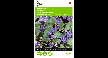 Bijenvoer - Phacelia campanularia