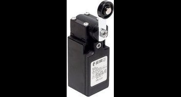 Pizzato Elettrica FR 531-M2 FR 531-M2 Eindschakelaar 250 V/AC 6 A Zwenkbare rolhendel Moment IP67 1 stuk(s)
