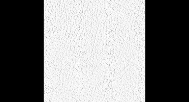 OVERSCHILDERBAAR VLIESBEHANG | Structuur - schuimvinyl - A.S. Création Meistervlies