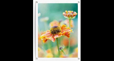 Tuinposter Bloem - 80 x 60 - Canvas - REINDERS